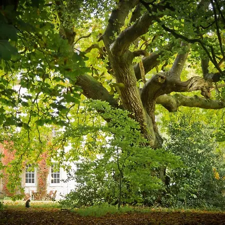 Гостевой дом Roundwood House Mountrath