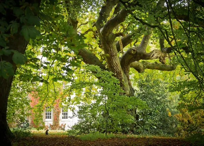 Гостевой дом Roundwood House Mountrath